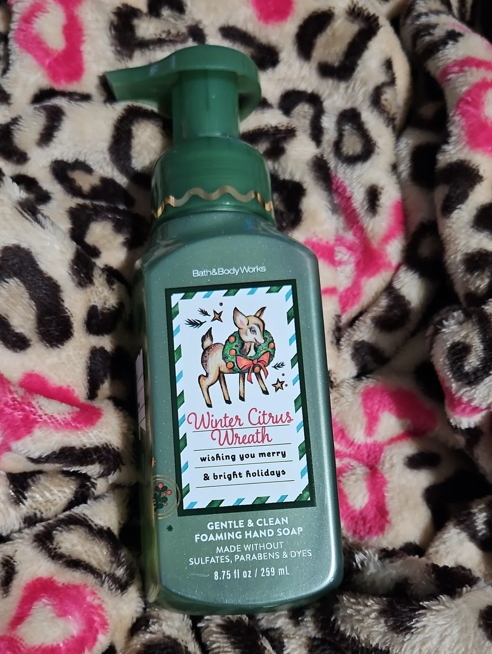 Bath & Body Works Winter Citrus Wreath Foaming Hand Soap
